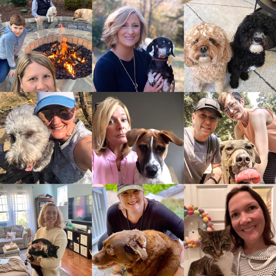 Calling all pet owners! 📢