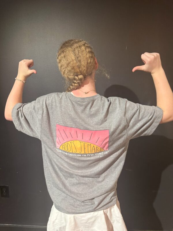 Mission Team T-Shirt - Gray - Image 6